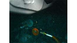 Detailed view of a Bosch Professional tool component on a dark background.